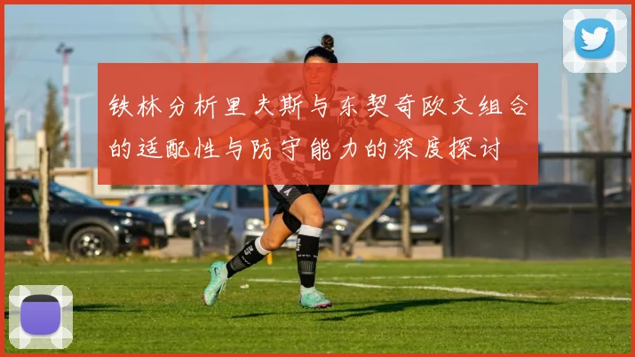 铁林分析里夫斯与东契奇欧文组合的适配性与防守能力的深度探讨