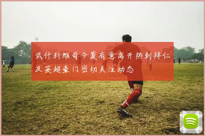 武什科维奇今夏有意离开热刺拜仁及英超豪门密切关注动态